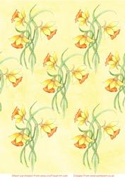 Daffodil Watercolour Background