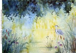 Watercolour Background Stork and Stream