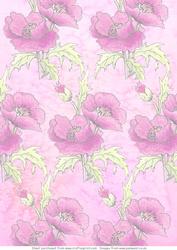 Pink Poppies Vellum