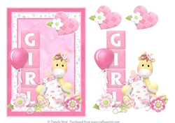 A5 New Baby Girl Girrafe card topper mini kit