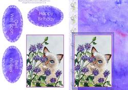 Cat and Cornflowers Quick Card
