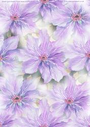 Purple Clematis Watercolour Vellum