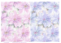 2 backgrounds Lilac and Pale blue Clematis