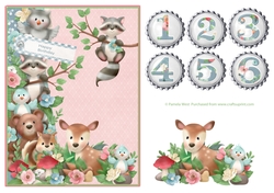 Birthday Numbers Woodland Friends Mini Kit with Decoupage