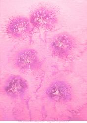 Pink Dandelion Clock Vellum