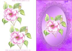 Camelia Step by Step Decoupage with Metallic Frame