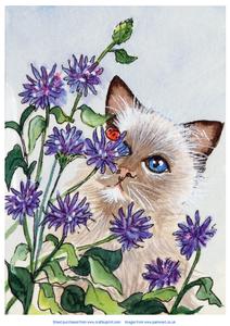 Original Watercolour of Cat and Cornflowers