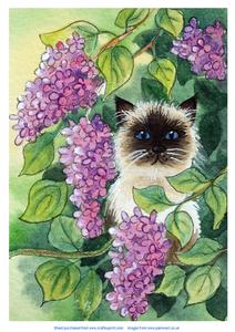 Cat and Lilac, Original Watercolour