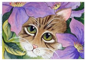 Cat and Clematis