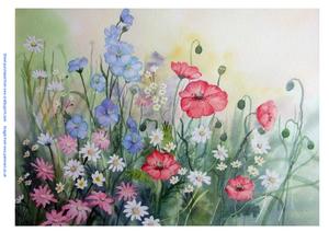 Meadow Flowers - Original Watercolour Painting