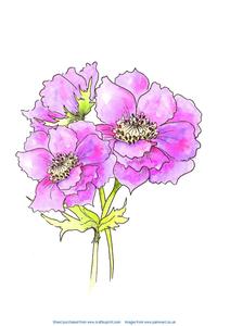 Anemones - Original Art