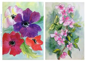 Anemones and Apple Blossom - Original Paintings