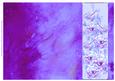Rose and Crushed Silk Blank Card - Lilac Shade