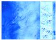Rose and Crushed Silk Blank Card - Turquoise Shade