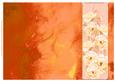 Rose and Crushed Silk Blank Card - Orange Shade