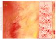 Rose and Crushed Silk Blank Card - Peach Shade