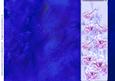 Rose and Crushed Silk Blank Card - Royal Blue Shade