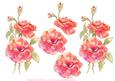 Watercolour Red Roses Decoupage Sheet