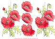 Watercolour Red Poppies Decoupage Sheet