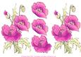 Watercolour Pink Poppies Decoupage Sheet