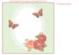 Field Mice, Butterflies and Poppies Insert