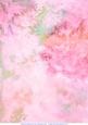 Watercolour Burst Red and Green Vellum