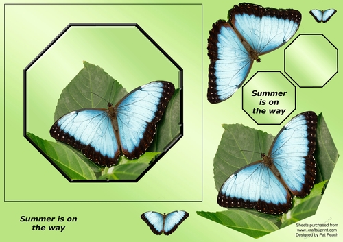 Blue Morpho Butterfly, Octagon, 5.5, summer