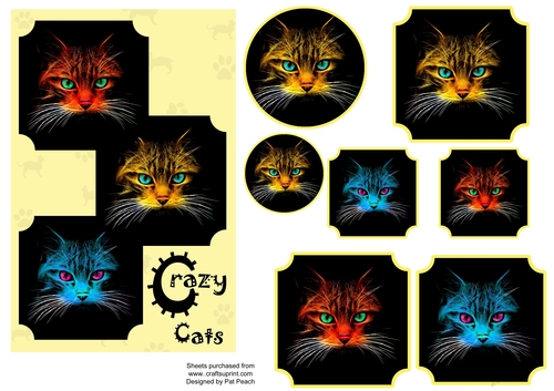 Crazy Cats 1, 7.5 x 5 inch card, layers and toppers, yellow