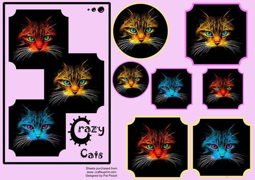 Crazy Cats 2, 7.5 x 5 inch card, layers and toppers, mauve