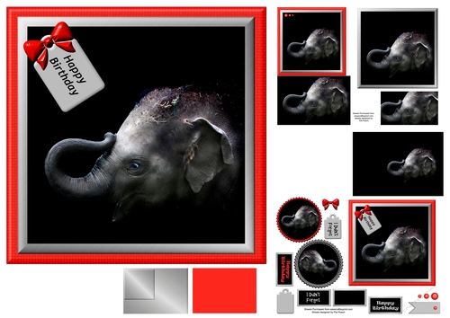 Baby asian Elephant, makes at least 3 cards, one with layers, Birthday
