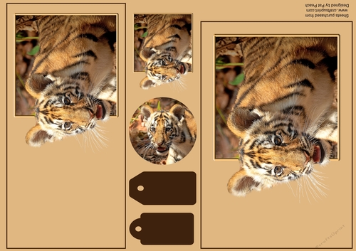 Tiger cub, toppers, one DL and one A5 card can be made from this sheet.