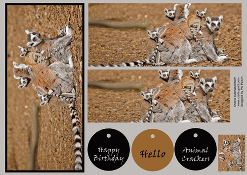 Ring Tailed Lemur, Makes one DL card with 3 layers