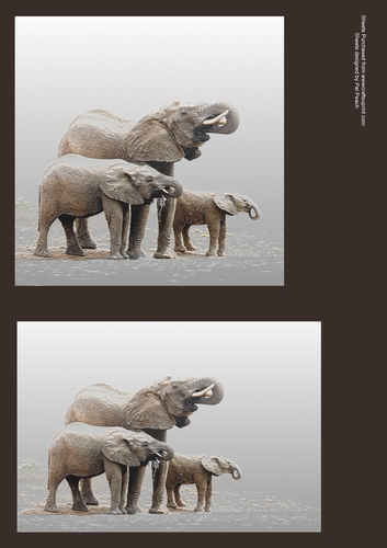 Elephants at the waterhole