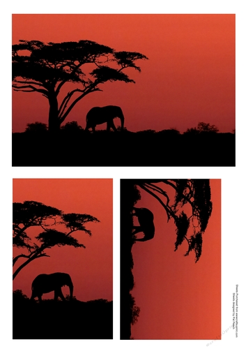 Elephant silhouette sunset - 1, makes 3 cards