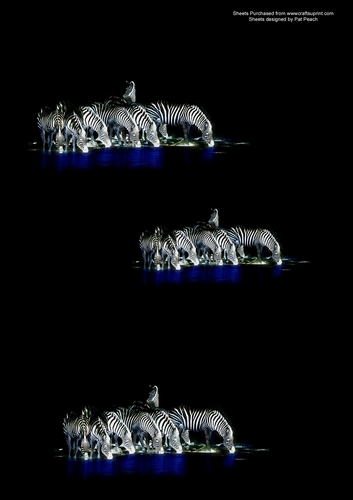 Zany zebra at waterhole, makes 3 cards