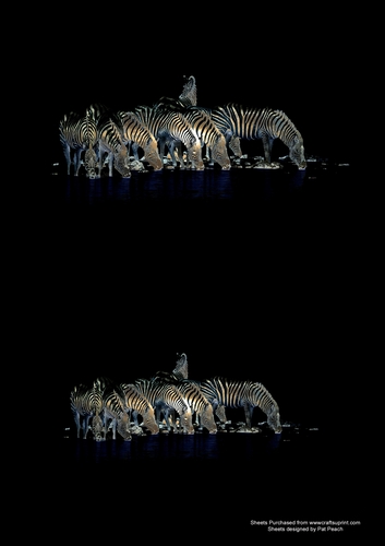 Zebra at waterhole, gold, makes two cards