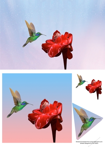 Hummingbird with red flower, makes 2 cards