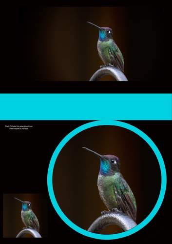 Humming bird on perch, makes 2 cards