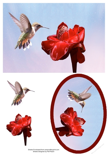 Brown hummingbird flying to red flower, makes 2 cards