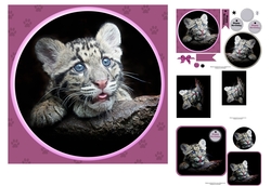 Clouded Leopard Cute Cub