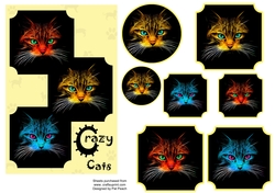 Crazy Cats 1, 7.5 x 5 inch card, layers and toppers, yellow