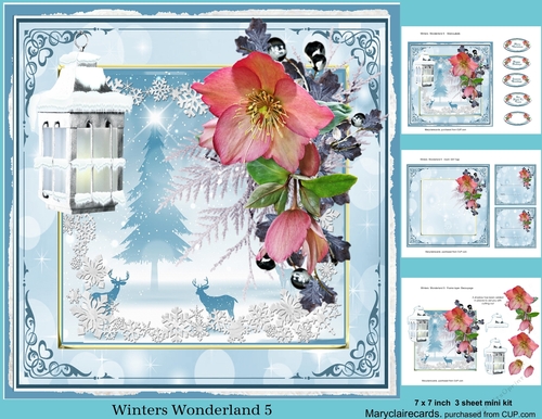 Winters Wonderland 5