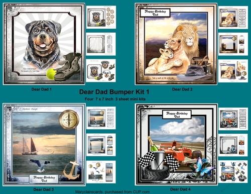 Dear Dad Bumper Kit 1