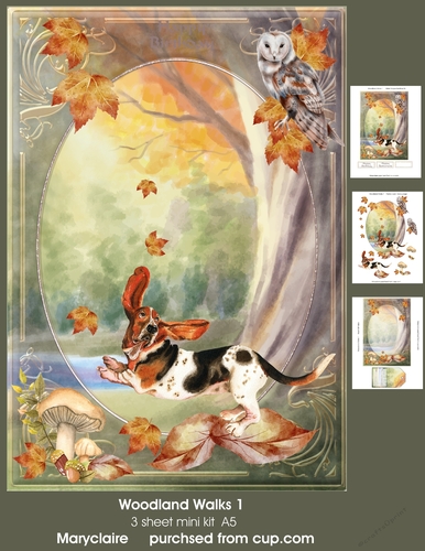 Woodland Walks 1