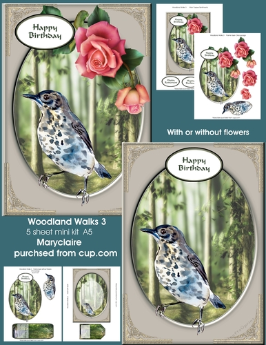 Woodland Walks 3