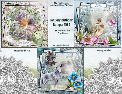 January Birthday Bumper Kit 1