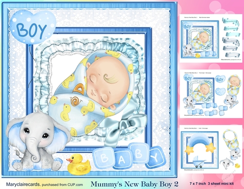 Mummys New Baby Boy 2