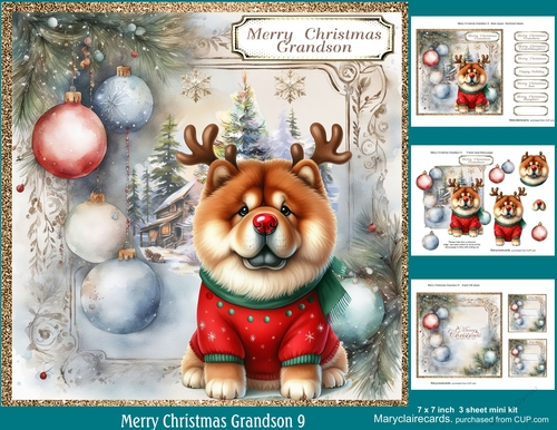 Merry Christmas Grandson 9