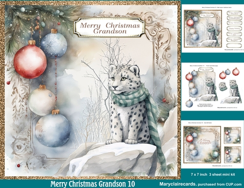 Merry Christmas Grandson 10