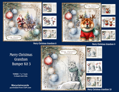 Merry Christmas Grandson Bumper Kit 3